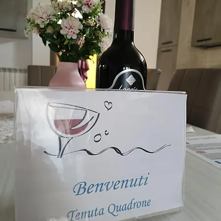 Tenuta Quadrone * Cura di Vetralla